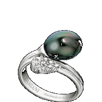 damiani white gold, diamond and pearl ring