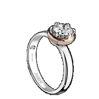 Damiani Hermes Queen – white gold solitaire ring