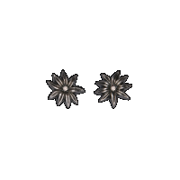 priya himatsingka myro flower stud earrings (patina)