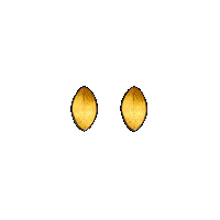 priya himatsingka leaf gold small earrings