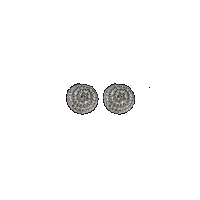 priya himatsingka myro pinwheel earrings