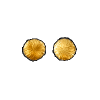 priya himatsingka peacock medium gold (bi) stud earrings