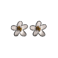 priya himatsingka daniel flower pointed stud earrings