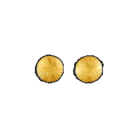 priya himatsingka wheel medium gold stud earrings