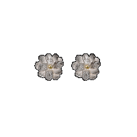 priya himatsingka wax flower rounded large earrings