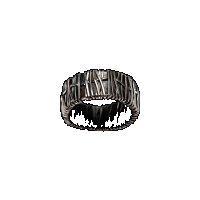 priya himatsingka ph 8mm full silver ring