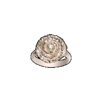 priya himatsingka rosette large ring