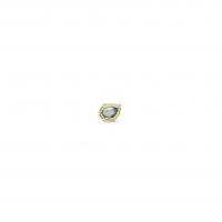 abalone pearl earring - single