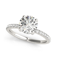 14k White Gold Round Diamond Engagement Ring with Scalloped Single Row Band (2 1/4 cttw)