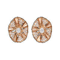 DIVAS’ DREAM Earrings