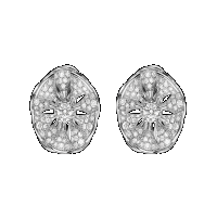 DIVAS’ DREAM Earrings
